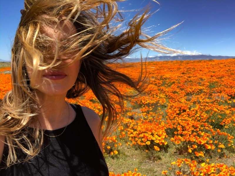 Údolí vlčích máků