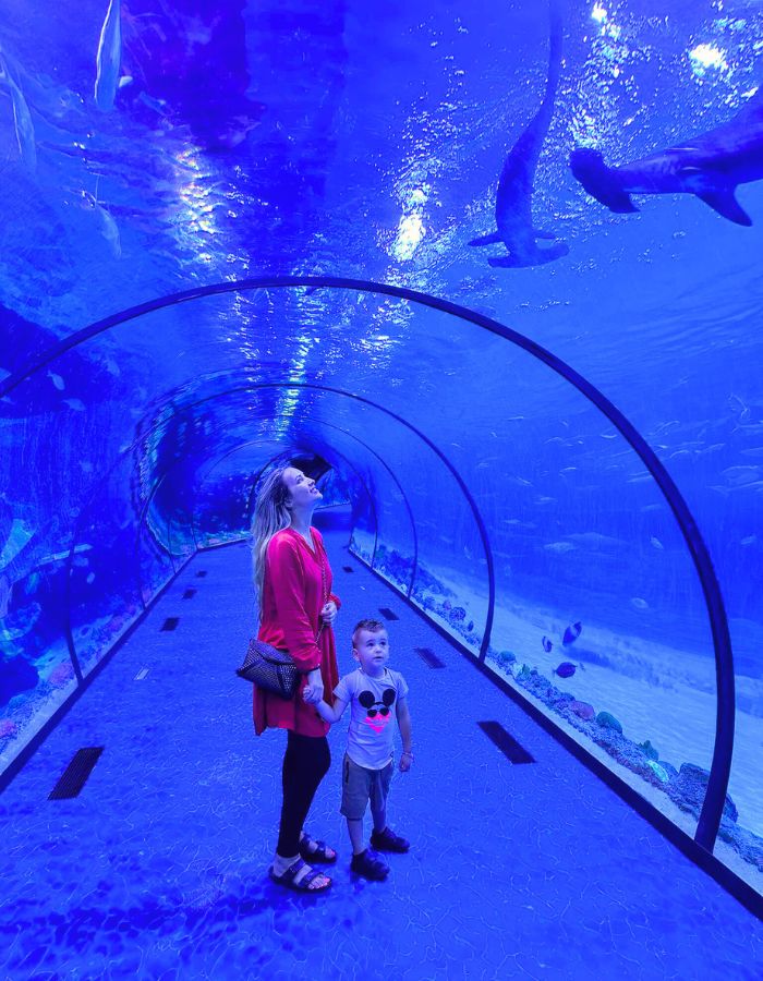Abu Dhabi Aquarium (2) žena s dítětem procházejí podvodním tunelem a sledují ryby plovoucí za sklem v akváriu v Abú Dhabí