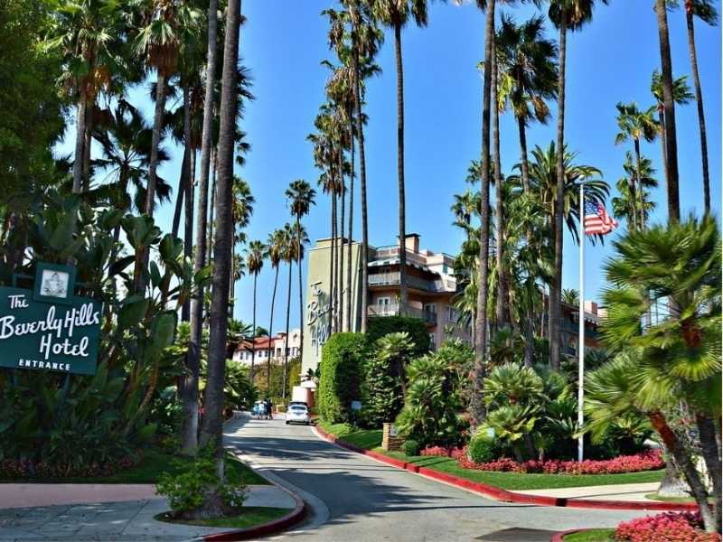 vjezd do Beverly Hills Hotelu s vysokými palmami