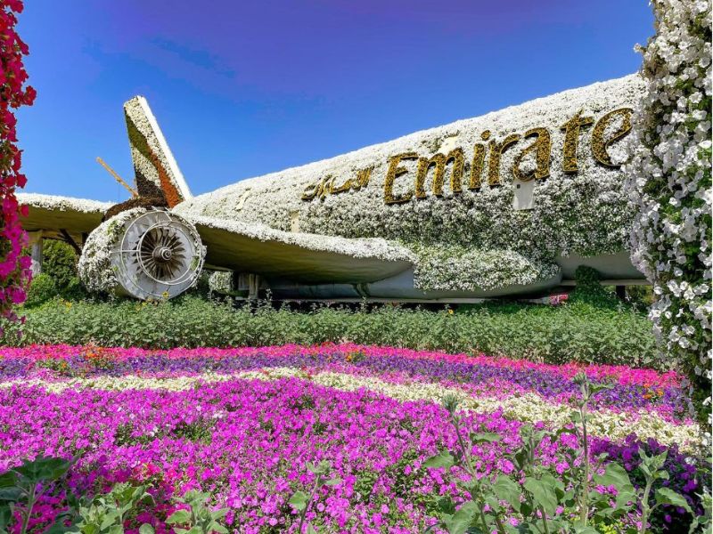 Emirates letadlo celé pokryté květinami v Miracle Gardens