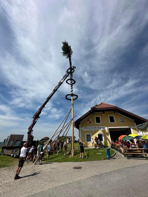Stavění májky v rakouském Hallstattu, bílý a žlutý dům a lidé, kteří pomáhají s její instalací