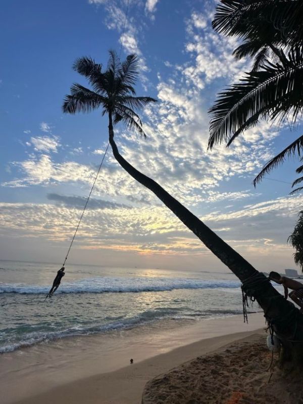 osoba se houpe na laně přivázaném k šikmé palmě nad oceánem