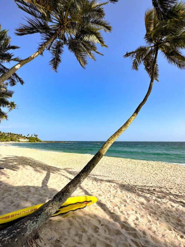vylidněná pláž se žlutým kajakem opřeným o nakloněnou palmu pod modrou oblohou