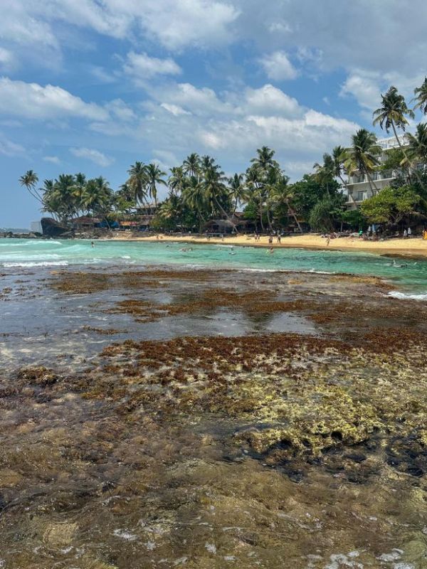 pláž Dalawella na Srí Lance