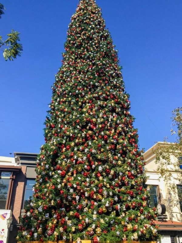 velký vánoční stromeček pod modrou oblohou