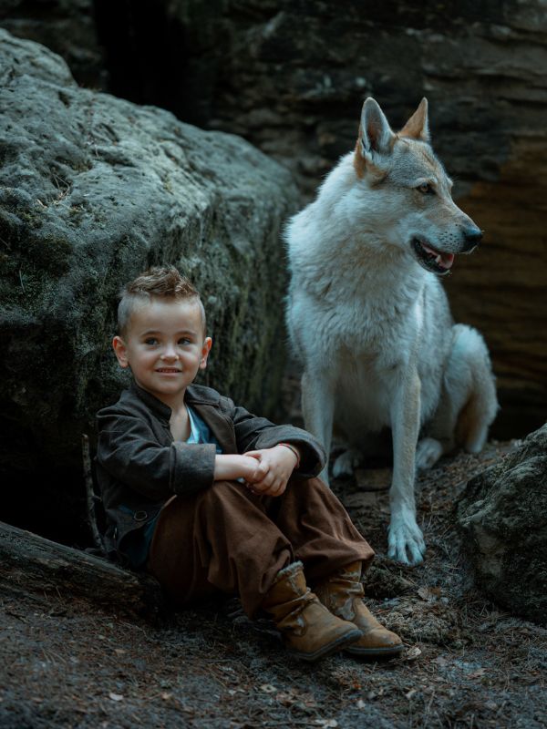 Malý chlapec sedí v lese vedle vlka