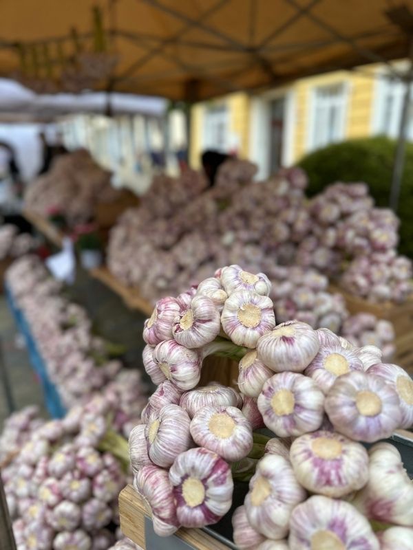 Palice česneku na trzích ve Františkových Lázních.