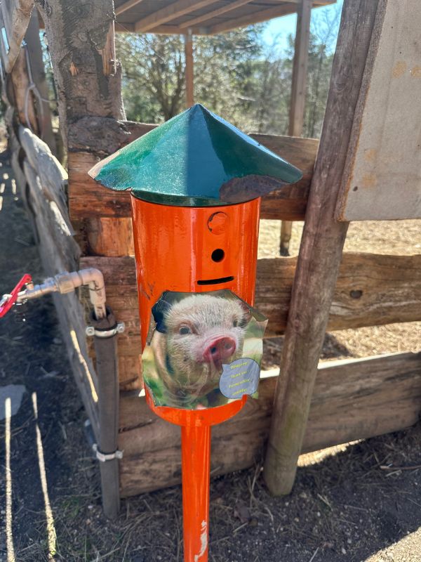 Oranžové krmítko s obrázkem prasátka.