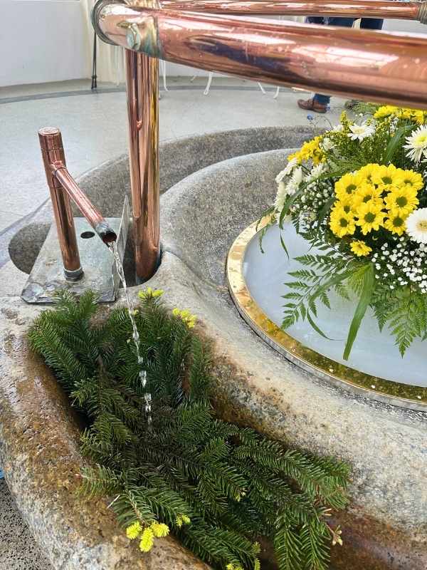 Pramen vytéká z kohoutku do Jehličí ve Františkových Lázních.