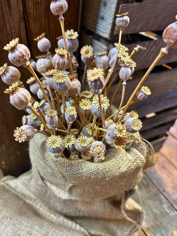 suché mákové palice v pytli